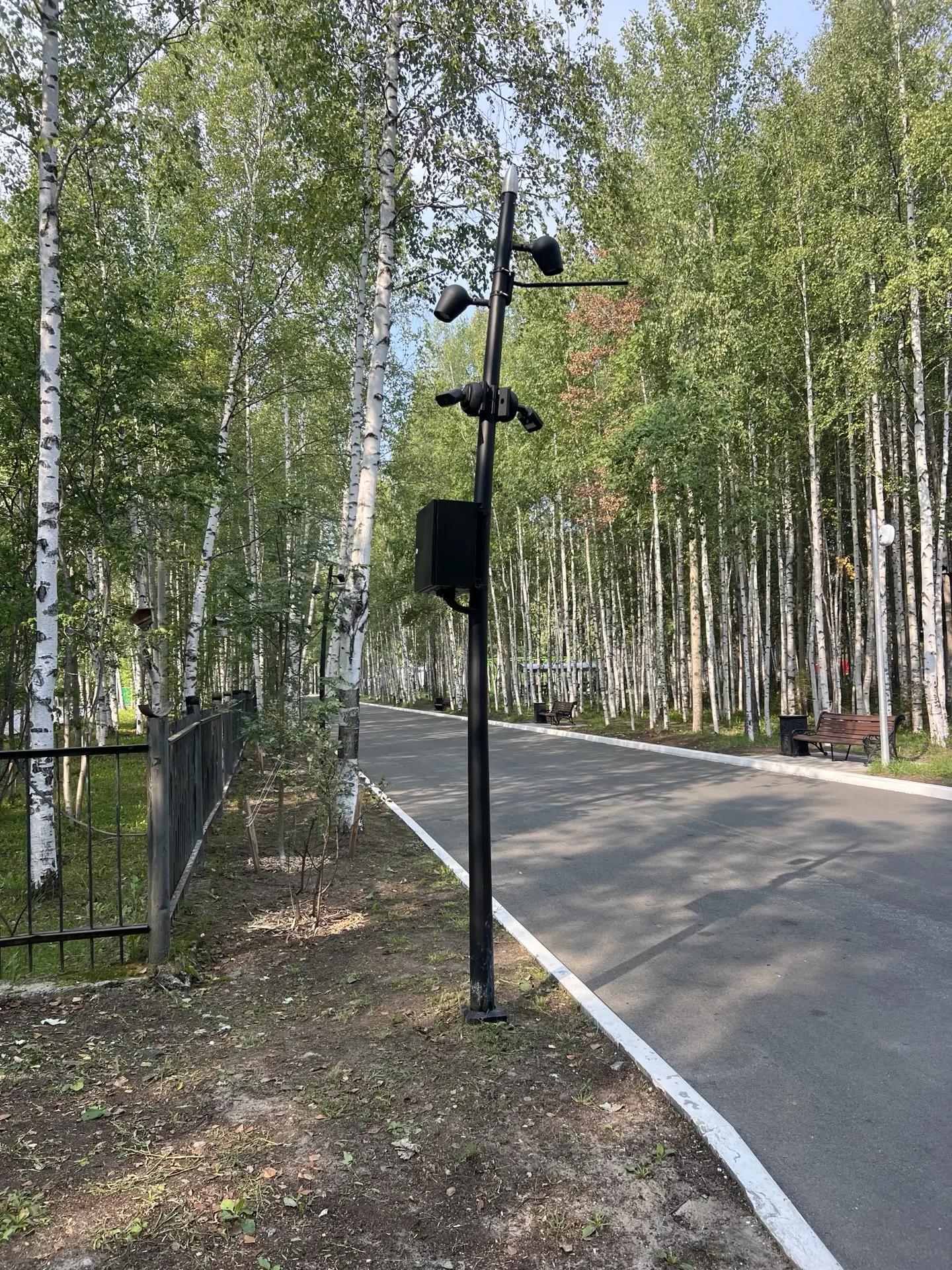 "Безопасный город" в Нижневартовске
